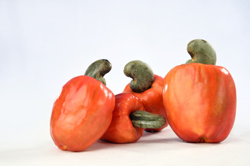 Cashew fruit isolated on white background