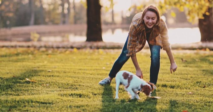 Woman Playing With Puppy In The Park. SLOW MOTION. Cavalier King Charles Spaniel baby dog enjoying sunny sunset outdoors, running and jumping with laughing girl. Pet and owner love. 