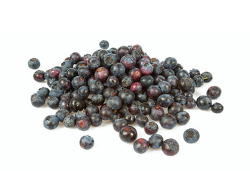 fresh blueberries isolated on white background