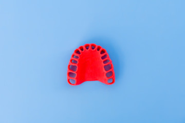 model of human gums without teeth isolated on blue