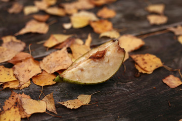A slice of weathered apple on an old wooden table surrounded by yellow foliage of birch.