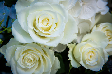 bouquet of roses