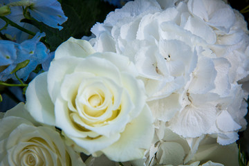bouquet of white roses