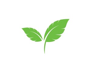 Logos of green leaf ecology nature element vector