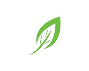 Fototapeta premium Logos of green leaf ecology nature element vector