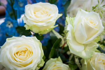 bouquet of white roses