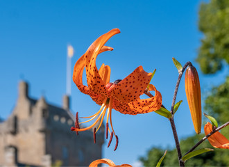 Historical Cawdor Castle, set amid gardens in the parish of Cawdor in Nairnshire, Scotland.