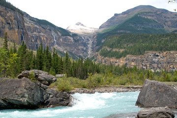 Whitehorn campground in Berg lake trail
