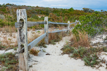 A wooden fence borders a sandy path in the dunes of Assateague Island National Seashore