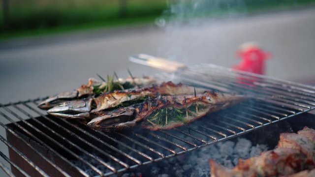 Meat and fish cooking on barbeque grill. Smoke rising from fireplace