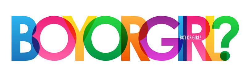 BOY OR GIRL? rainbow vector typography banner
