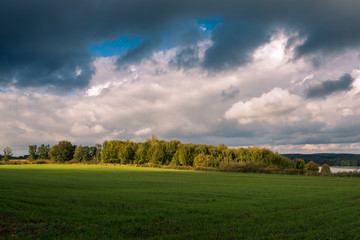 Trees and field near Pozezdrze at autumn, Warminsko- Mazurskie, Poland