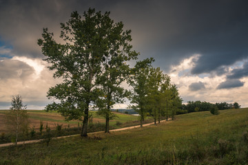 Obraz premium Road near Pozezdrze, Warminsko-Mazurskie, Poland