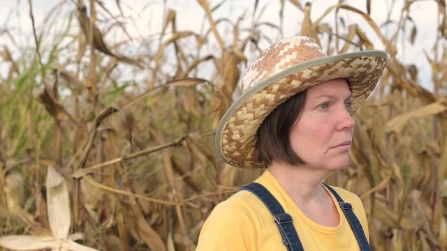 Portrait of female corn farmer in field
