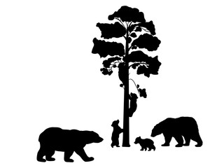 Bear family. Silhouettes of animals
