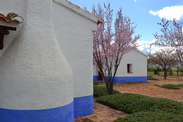 De viaje por Castilla La Mancha