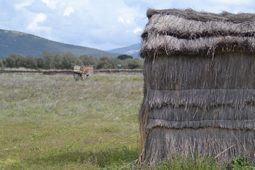De viaje por Castilla La Mancha