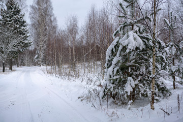Winter scene 22