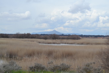 De viaje por Castilla La Mancha