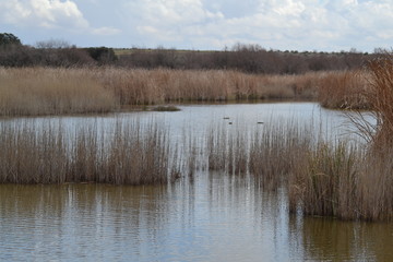De viaje por Castilla La Mancha