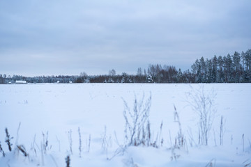 Winter scene 18