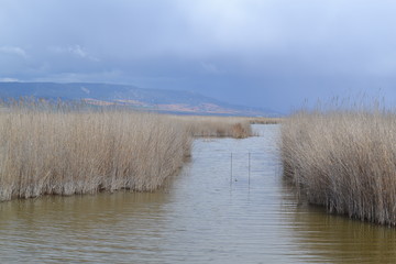 De viaje por Castilla La Mancha