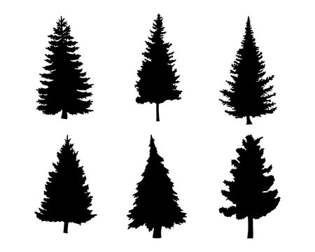 Isolated tree on the white background.Tree silhouettes. Tree hand drawn.Vector EPS 10.