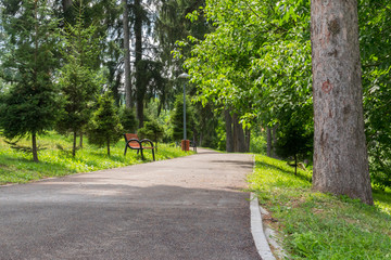 Obraz premium alley with benches in an green park in the summer time