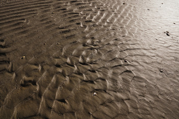 Relief surface of wet sand