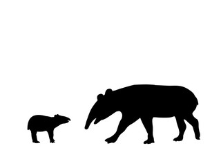 Tapir family. Silhouettes of animals