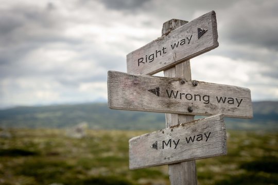 Right way, wrong way, my way signpost. Guideance concepts.