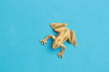 frog shaped rubber toy in color background