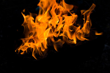 Background for the desktop. beautiful flame of fire close-up on a black background.