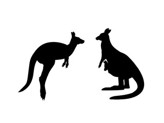 Kangaroo family. Silhouettes of animals