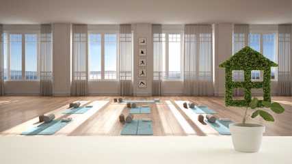 White table top or shelf with green plant in pot shaped like house, yoga meditation studio, sea panorama in the background, interior design, real estate, eco architecture concept idea