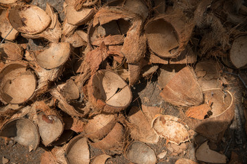 Selective focus of tempurung or coconut shells close up, outdoor.