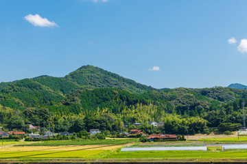 夏の青空とのどかな田園風景【山口県】