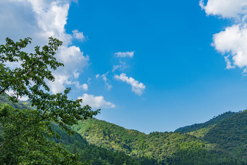 Obraz premium 夏の青空とのどかな田園風景【山口県】