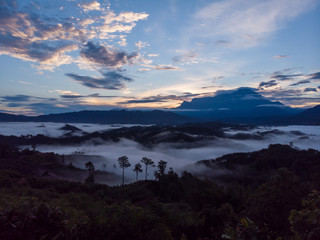 Rural landscape with dramatic sea of cloud during sunrise with Mount Kinabalu at Saba, Borneo