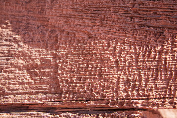 Time and water leave their marks on the surface of the sandstone rock faces of Capitol Reef National Park, Utah
