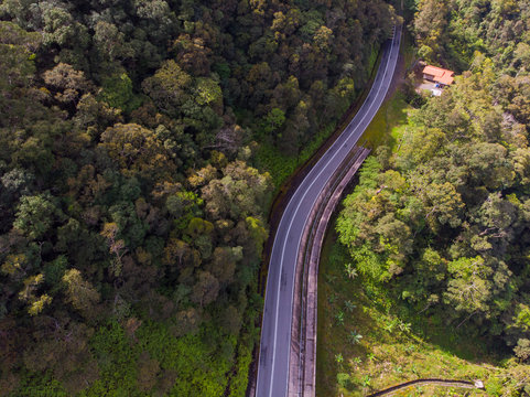Top view of the the rainforest asphalt road in Sabah, Borneo © alenthien
