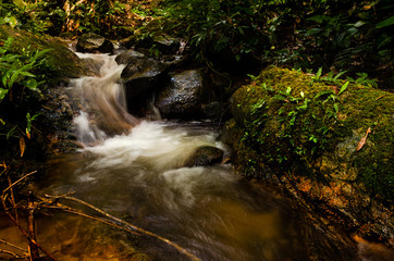 Small waterfall in forest nature trail, Mae Kampong, Chiangmai, Thailand.