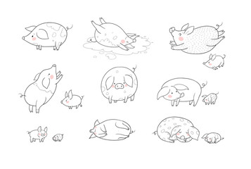 Set with cute cartoon pigs. Farm animals. Pig in different poses