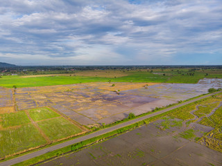 Amazing Beautiful Aerial view of young green rice paddy field at Kota Belud, Sabah, Malaysia
