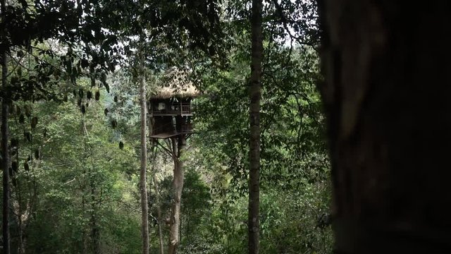 Slomo Revealing a Large Jungle Treehouse from the Gibbon Experience in Laos