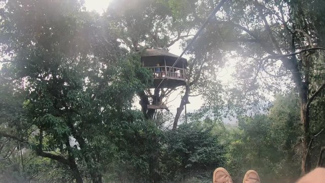 POV of Male Ziplining Towards a Treehouse during the Gibbon Experience in Laos