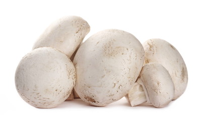 Fototapeta na wymiar Fresh champignon mushrooms, isolated on white background