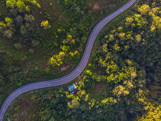 Top view of the the rainforest asphalt road in Sabah, Borneo