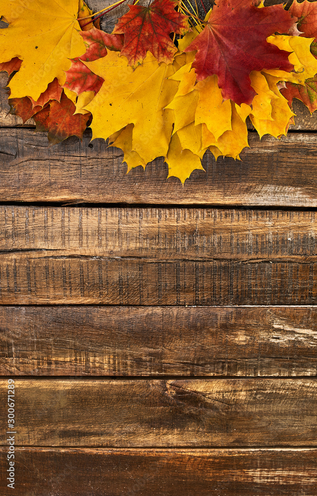 Wall mural autumn maple leaves on top view wooden table. vertical frame with top side foliage and copy space.
