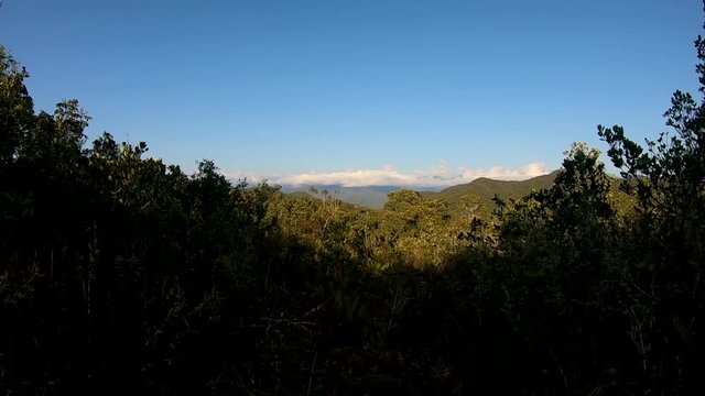 Beautiful top view of the peruvian jungle with blue sky.
